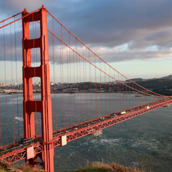 Wander San Francisco