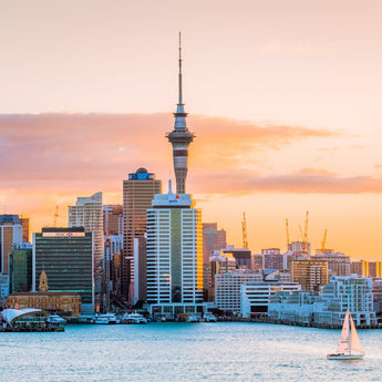 Wander Auckland