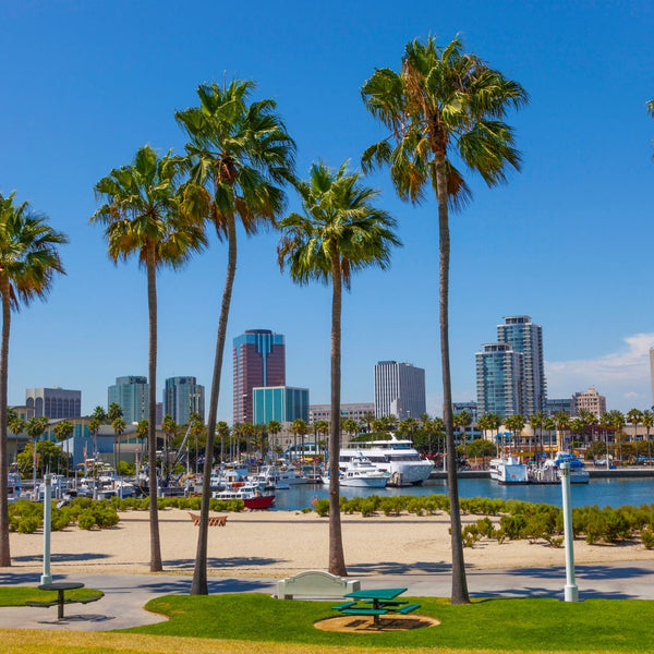 Wander Long Beach