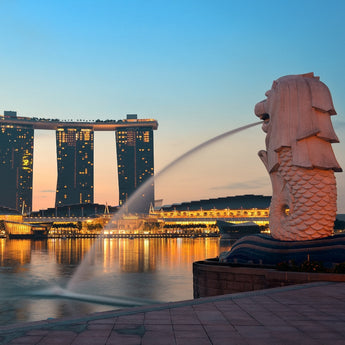 Wander Singapore