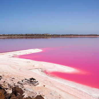 You can visit a pink lake in Australia!