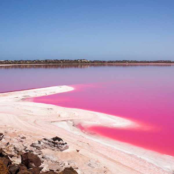 You can visit a pink lake in Australia!