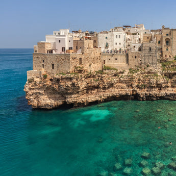 Wander Bari