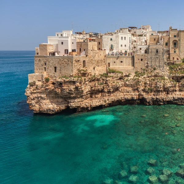 Wander Bari
