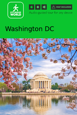 Washington DC